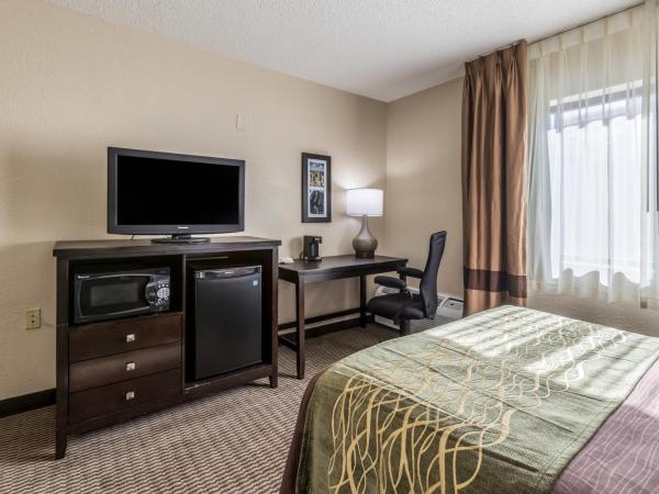 Comfort Inn Downtown : photo 2 de la chambre chambre double - accessible aux personnes à mobilité réduite - non-fumeurs