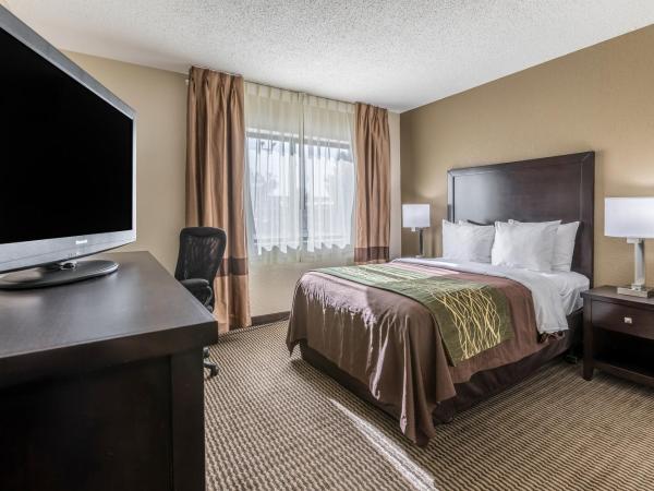 Comfort Inn Downtown : photo 4 de la chambre chambre double - accessible aux personnes à mobilité réduite - non-fumeurs