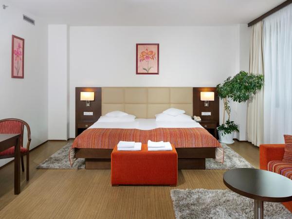 Hotel Ankora : photo 4 de la chambre appartement 1 chambre deluxe