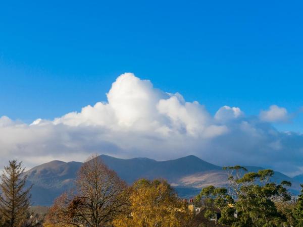 Great Southern Killarney : photo 5 de la chambre chambre lit king-size deluxe - vue sur jardin