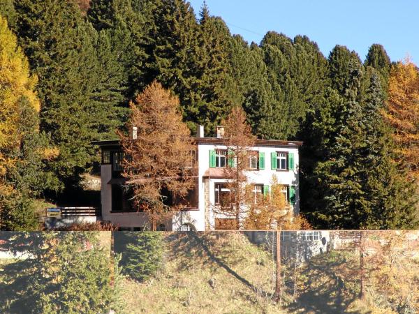 Schatzalp Hotel : photo 7 de la chambre villa guarda