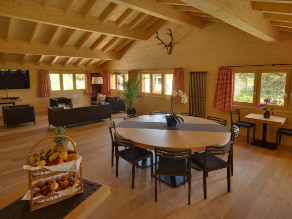 Schatzalp Hotel : photo 3 de la chambre chalet