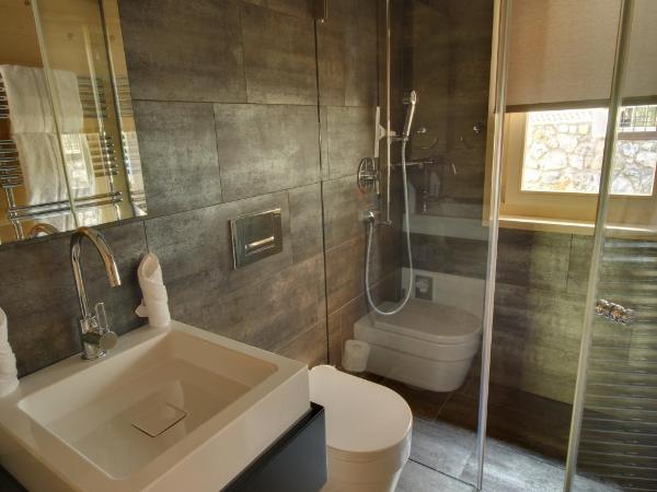 Schatzalp Hotel : photo 4 de la chambre chalet