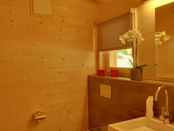 Schatzalp Hotel : photo 7 de la chambre chalet
