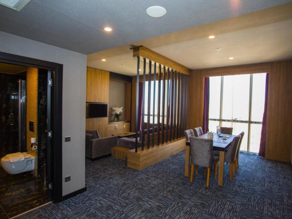 SKY Business Hotel : photo 8 de la chambre suite affaires