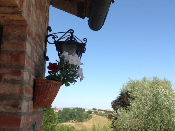 Agriturismo La Collina : photo 1 de la chambre studio