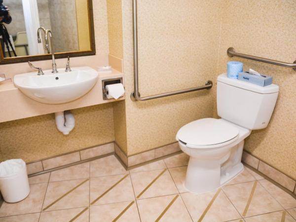 Country Inn & Suites by Radisson, London South, ON : photo 3 de la chambre chambre lit king-size - accessible aux personnes à mobilité réduite