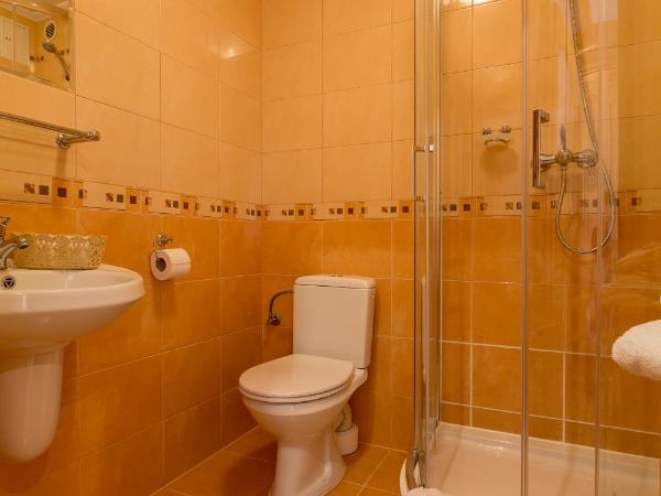 Willa Góralsko Riwiera : photo 4 de la chambre chambre double deluxe