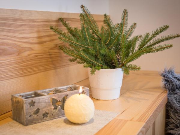 Willa Góralsko Riwiera : photo 10 de la chambre appartement (2 adultes)