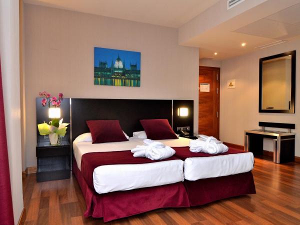 Clement Barajas : photo 3 de la chambre chambre double ou lits jumeaux avec parking inclus