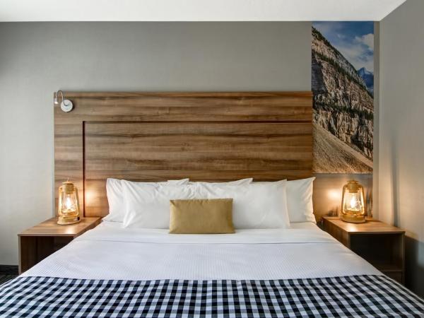 Canalta Lodge : photo 1 de la chambre chambre lit king-size - animaux domestiques admis