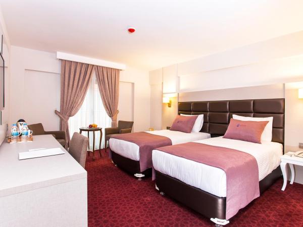 Perla Arya Hotel : photo 3 de la chambre chambre lits jumeaux standard