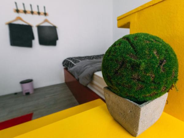 Aekkeko hostel : photo 5 de la chambre deluxe room with shared bathroom