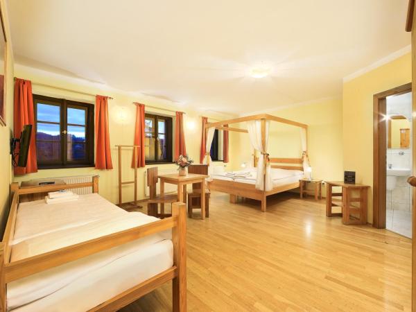 Hotel Garni Myší Díra : photo 1 de la chambre chambre triple deluxe