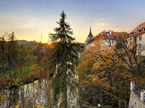 Hotel Garni Myší Díra : photo 7 de la chambre chambre deluxe double ou lits jumeaux