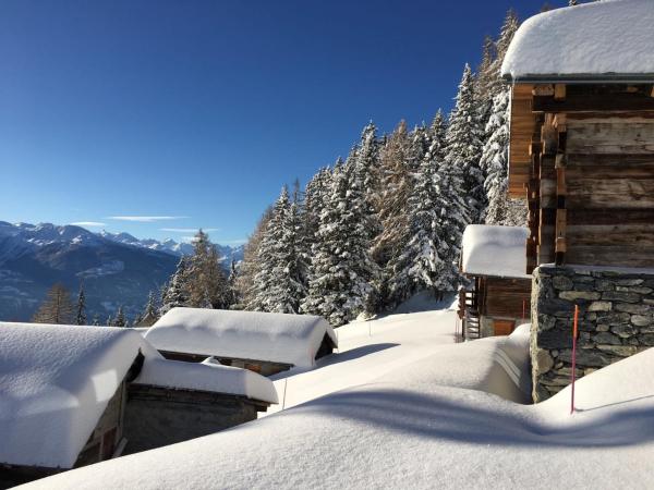Le Mayen de Colombire : photo 7 de la chambre chalet