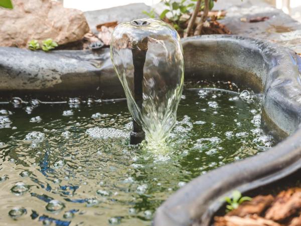 Hotel Karin : photo 10 de la chambre appartement (3 adultes)