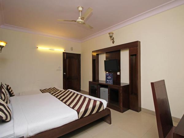 Hotel Roshan Haveli : photo 1 de la chambre chambre double supérieure