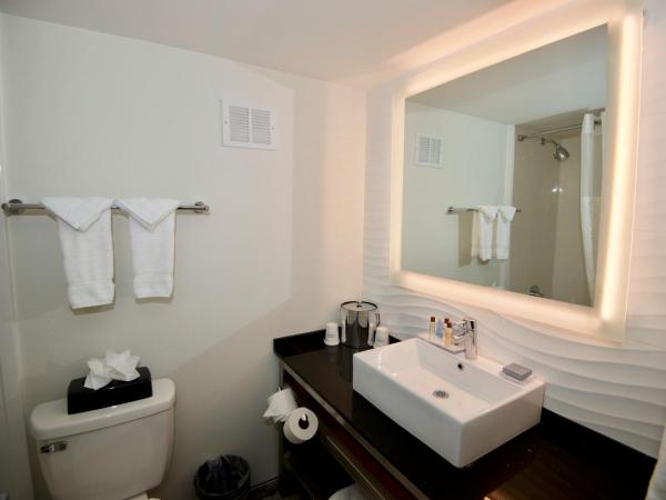 Ramada by Wyndham Austin South : photo 3 de la chambre chambre lit king-size - non-fumeurs