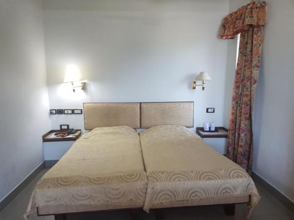 Bharat Hotel : photo 6 de la chambre chambre double deluxe