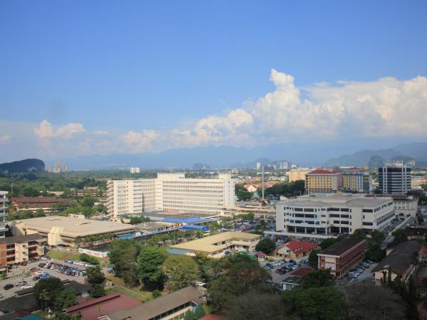 Tower Regency Hotel & Apartments : photo 10 de la chambre chambre lit king-size deluxe