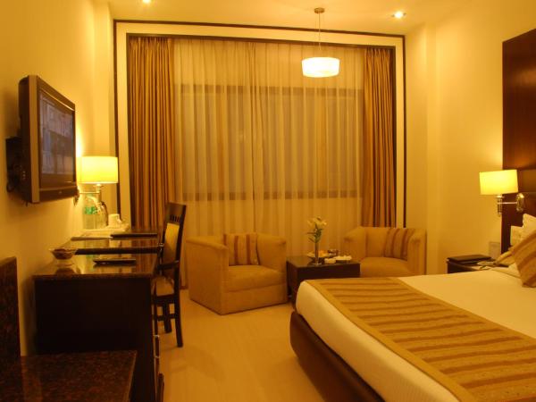 Hotel Shanti Palace Mahipalpur : photo 4 de la chambre standard double room with 20% discount on food and soft beverage