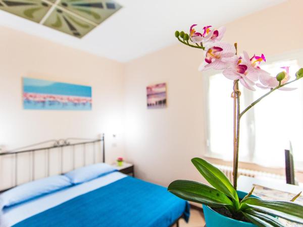 Residence Kimba : photo 1 de la chambre appartement - rez-de-chaussée