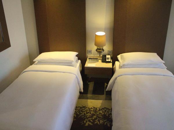 Hyatt Ahmedabad : photo 3 de la chambre chambre lits jumeaux