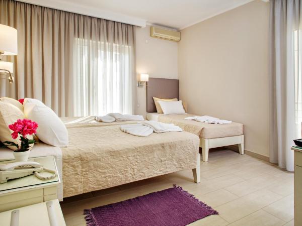 Hotel Ideon : photo 1 de la chambre chambre triple