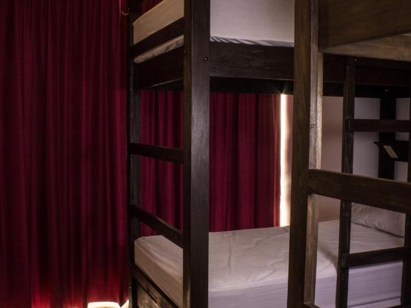 Los Muertos Hostal : photo 3 de la chambre lit simple dans dortoir de 6 lits - zapata