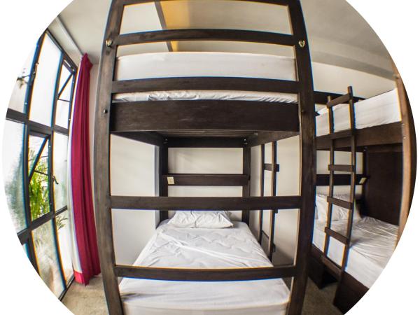 Los Muertos Hostal : photo 7 de la chambre lit simple dans dortoir de 6 lits - zapata