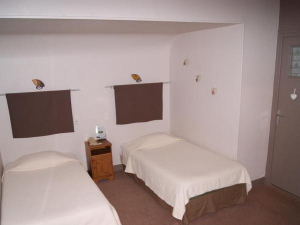 Hôtel Central : photo 1 de la chambre chambre lits jumeaux