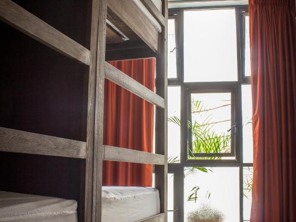 Los Muertos Hostal : photo 5 de la chambre lit simple dans dortoir de 8 lits - frida