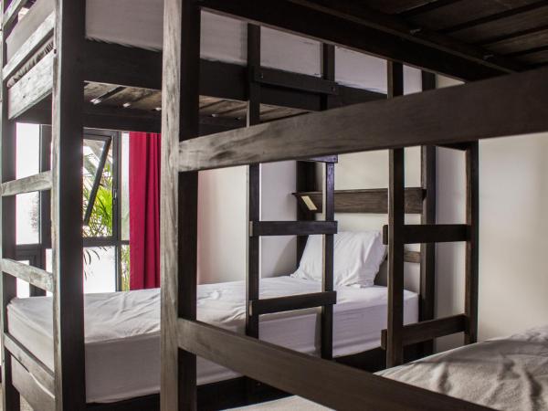 Los Muertos Hostal : photo 7 de la chambre lit simple dans dortoir de 6 lits - la doña