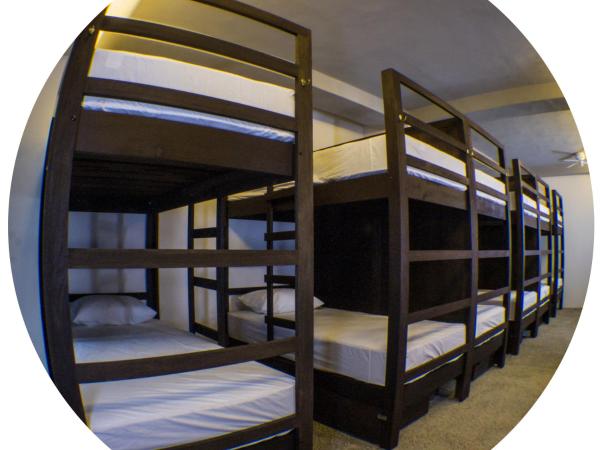 Los Muertos Hostal : photo 8 de la chambre lit simple dans dortoir mixte - cantinflas