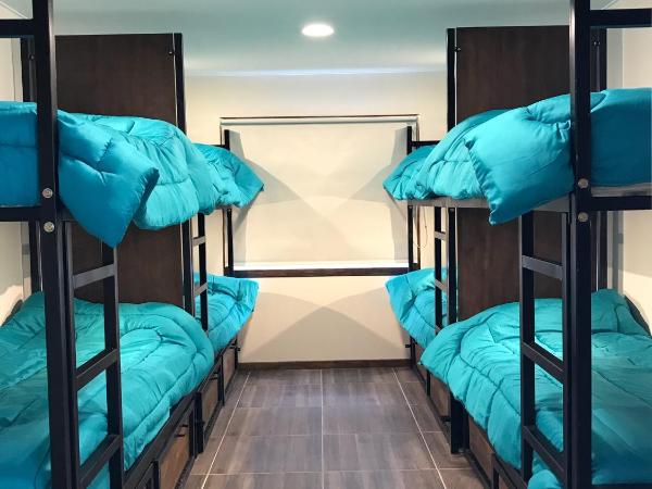 Folk Hostel : photo 9 de la chambre lit dans dortoir mixte de 8 lits