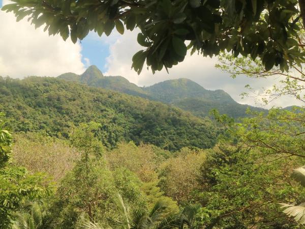 Island Lodge : photo 3 de la chambre chambre familiale supérieure