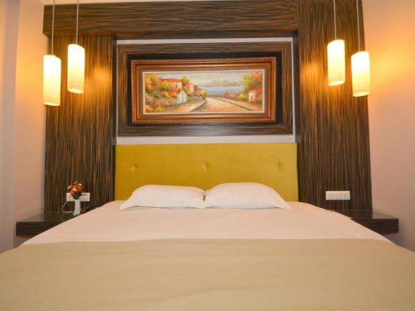 Istankoy Hotel : photo 8 de la chambre chambre double