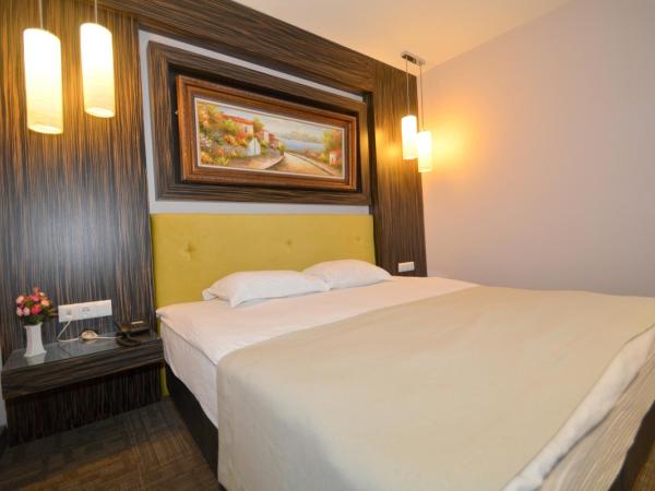 Istankoy Hotel : photo 9 de la chambre chambre double