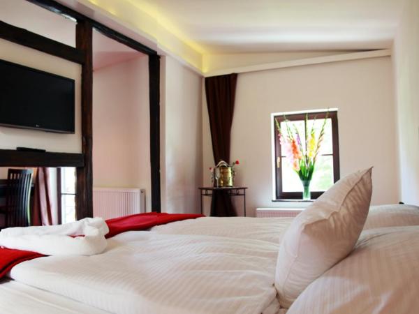 Villa Rozmaryn Gourmet & Wine : photo 7 de la chambre chambre double avec salle de bains privative