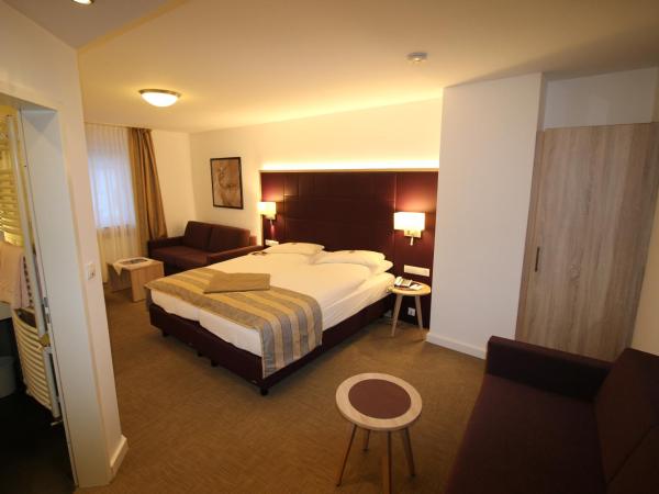 Hotel zum Adler - Superior : photo 5 de la chambre suite junior