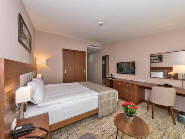 Land Park Hotel : photo 6 de la chambre chambre simple standard