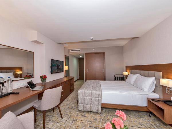 Land Park Hotel : photo 4 de la chambre chambre double standard