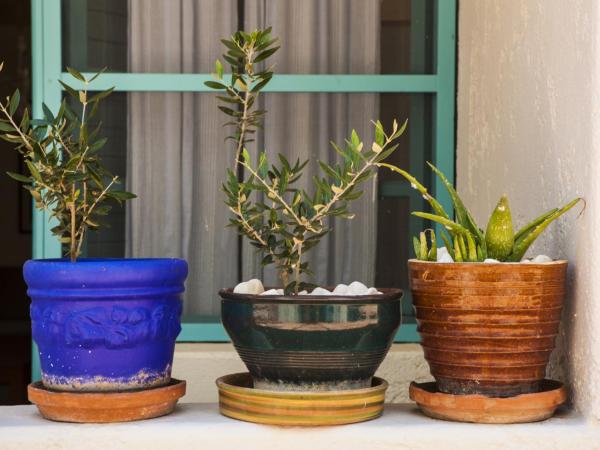 Villa Iokasti : photo 9 de la chambre studio (2 adultes)