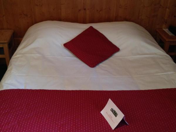 Hotel des Marquisats : photo 5 de la chambre chambre double standard - côté forêt
