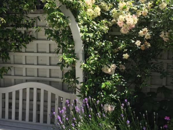 Fulham B&B : photo 2 de la chambre chambre double - vue sur jardin