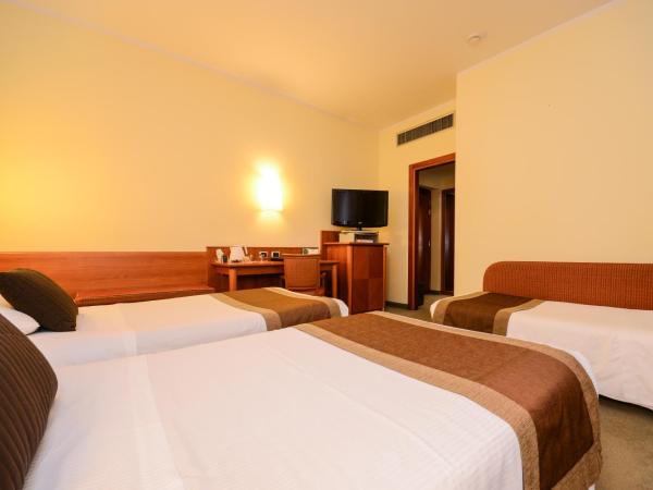 Hotel Master : photo 4 de la chambre chambre triple standard