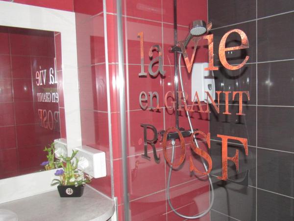 Citotel Les Sternes : photo 3 de la chambre chambre double