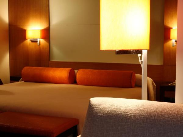 Hotel Altaïr : photo 4 de la chambre chambre double supérieure