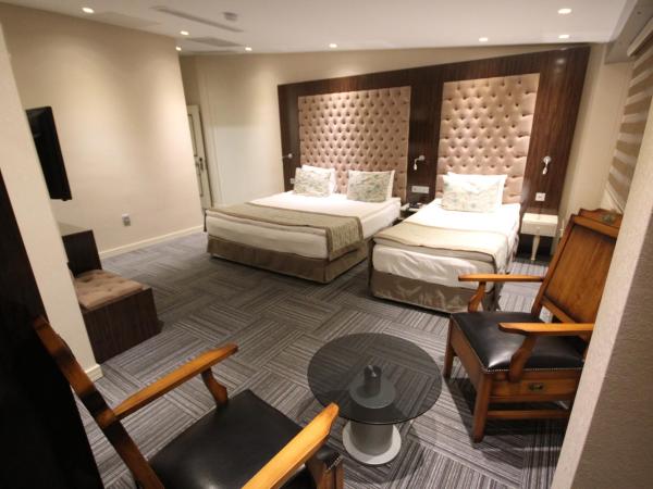 Ankara Gold Hotel : photo 7 de la chambre suite